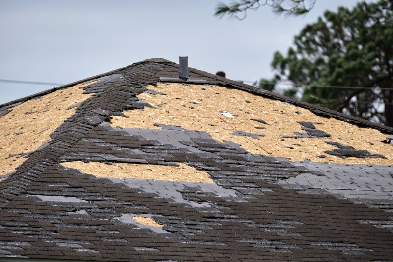 Damaged Roofing Sections