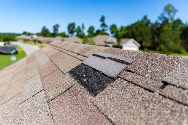 Extends roof system lifespan